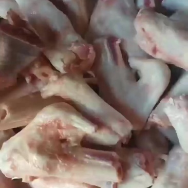 羊拐筋抄码