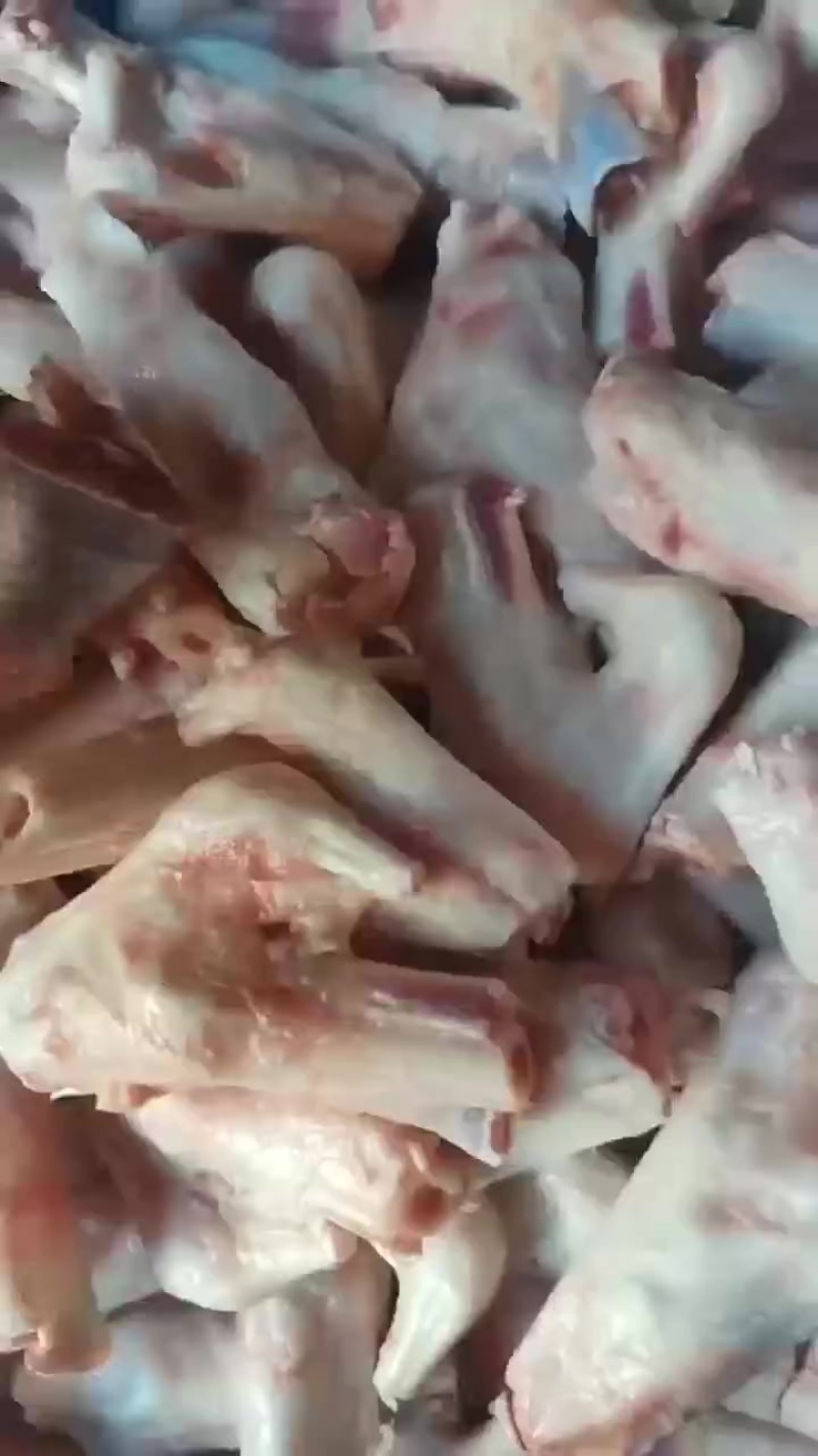 羊拐筋抄码