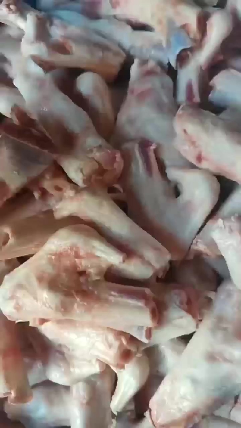 羊拐筋抄码