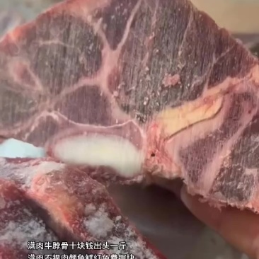 满肉牛脖骨十块钱出头一斤