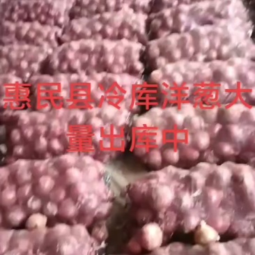 惠民成哥蔬菜水果代发