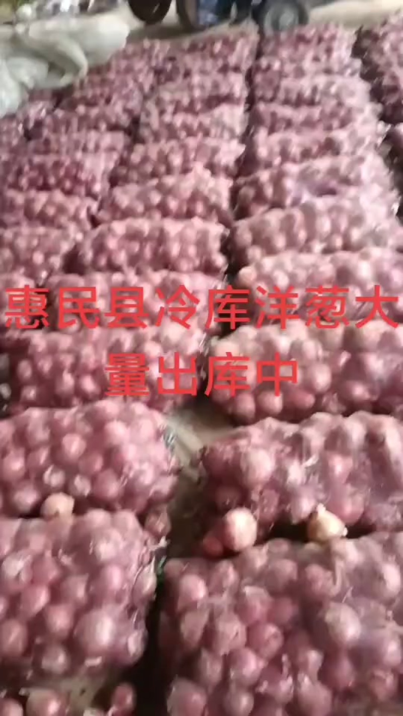 惠民成哥蔬菜水果代发