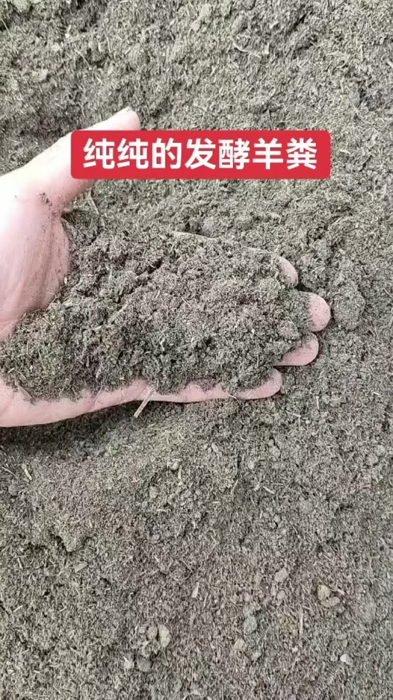 发酵纯羊粪
