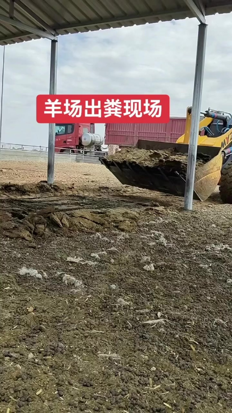 发酵纯羊粪