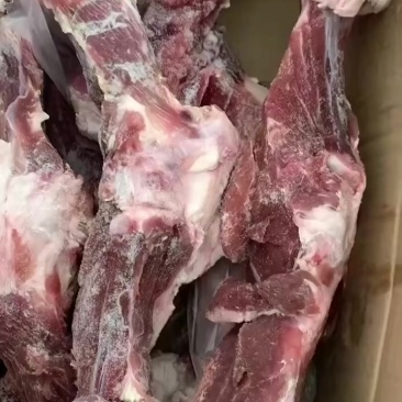 后腿骨