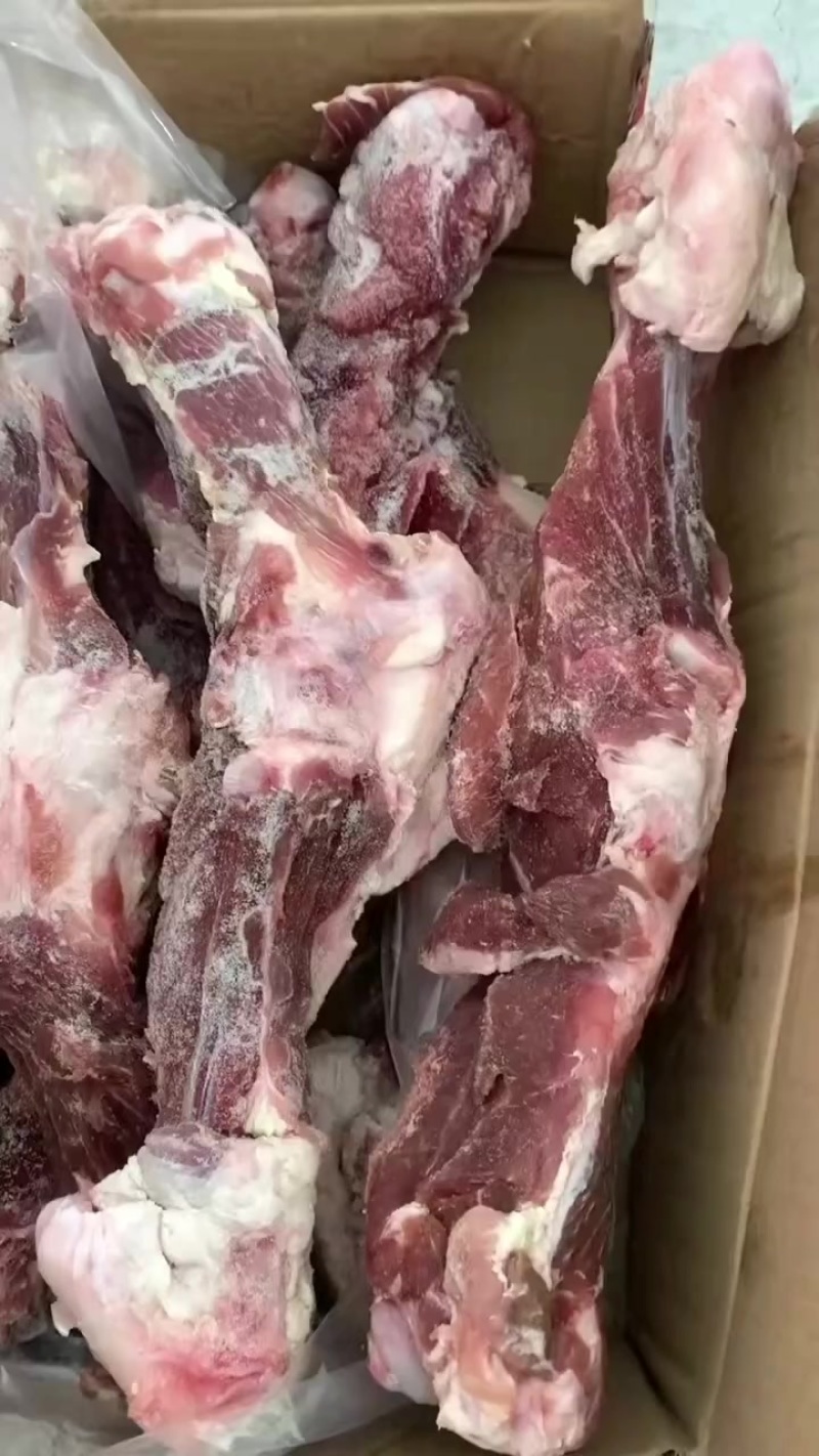 后腿骨