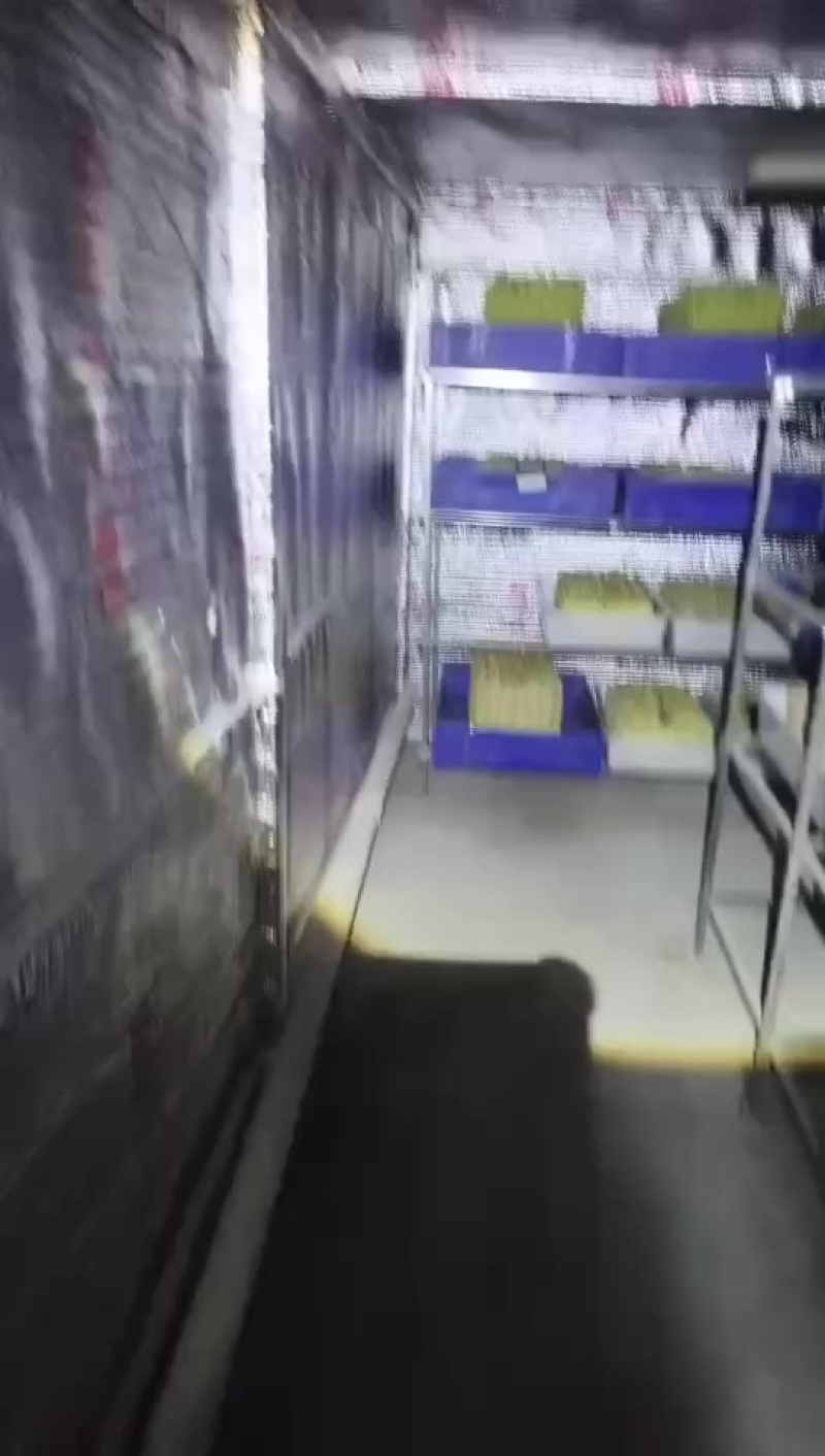 全蝎通货，清水蝎，盐水蝎