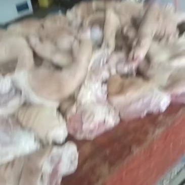 现货，每天500斤
