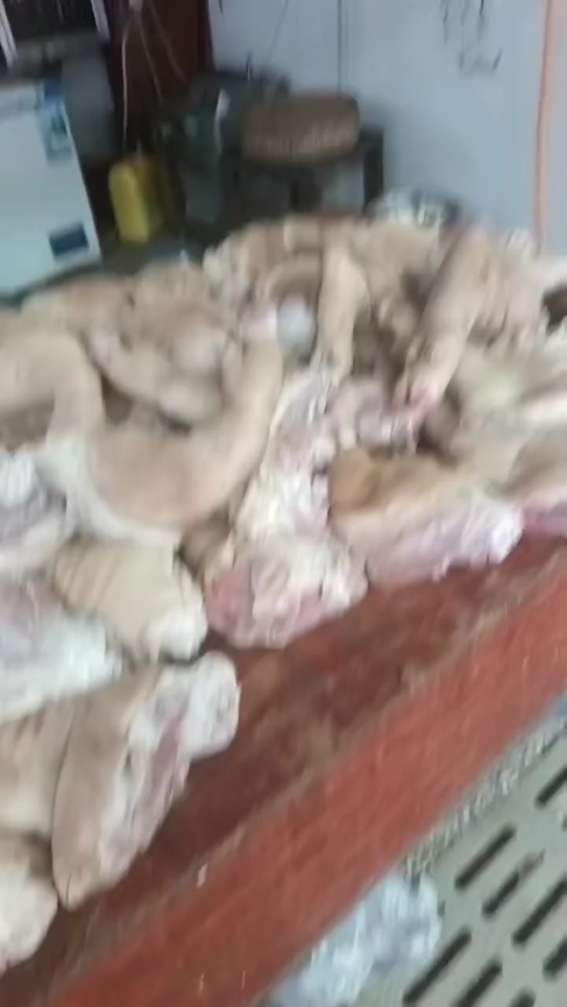 现货，每天500斤