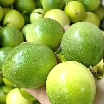 百香果