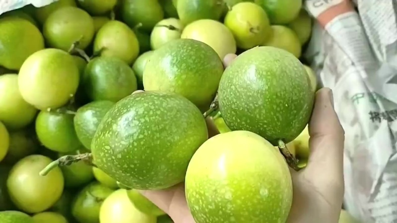 百香果
