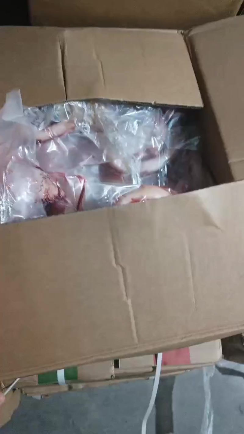 牛鞭宝