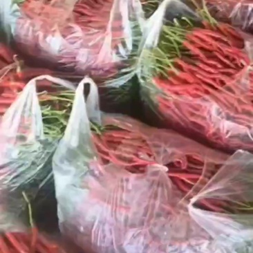 贵州大方鸡爪辣椒。有需要的老板联系量大优惠。可以发外地