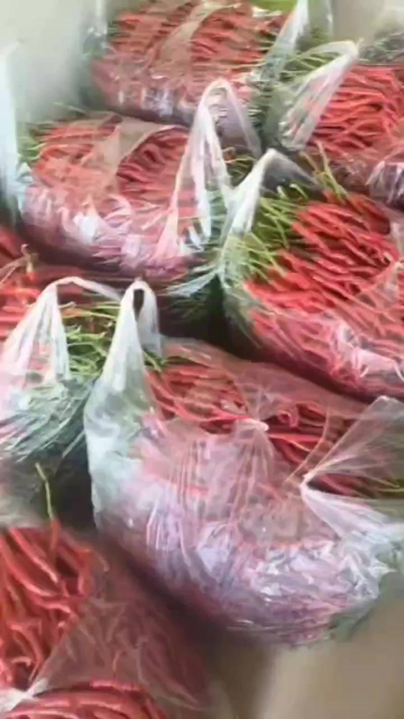 贵州大方鸡爪辣椒。有需要的老板联系量大优惠。可以发外地