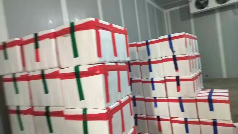 贵州大方鸡爪辣椒。有需要的老板联系量大优惠。可以发外地