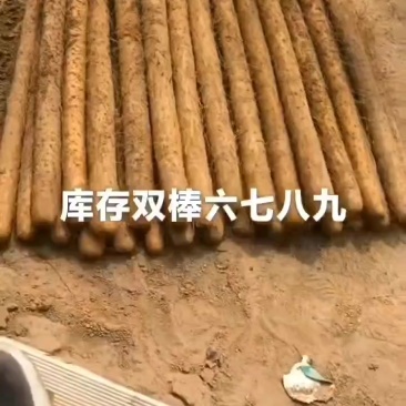 产地双棒山药价格不高条形好有麻山药