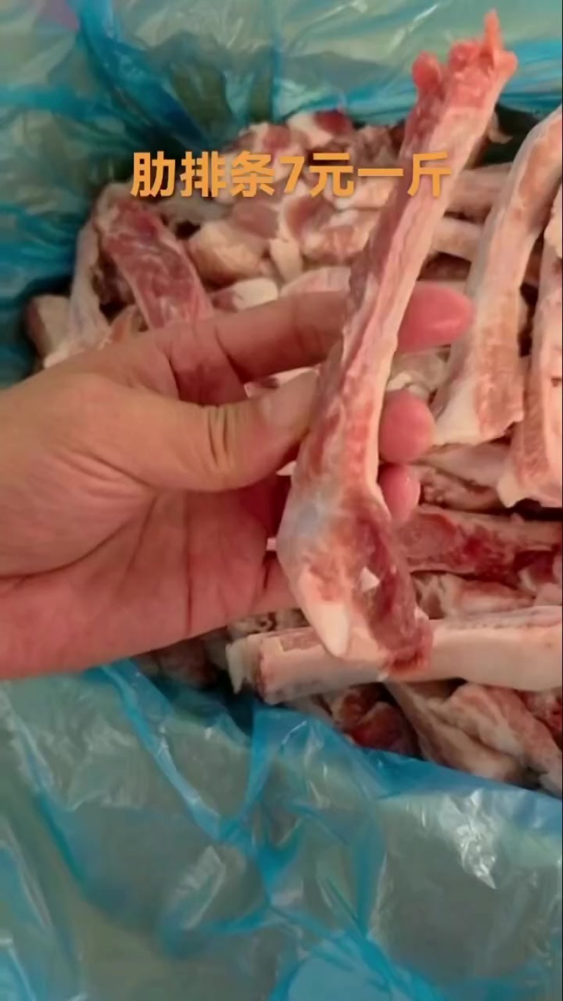 肋排条