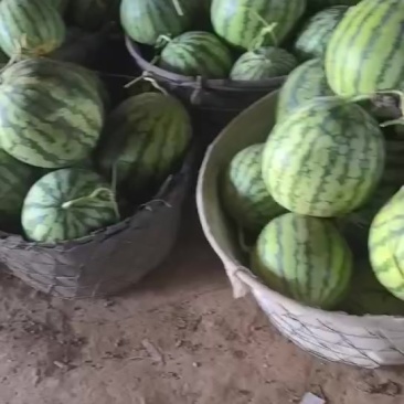 二茬有籽麒麟瓜，大量有货，价格便宜，需要的客户联系我