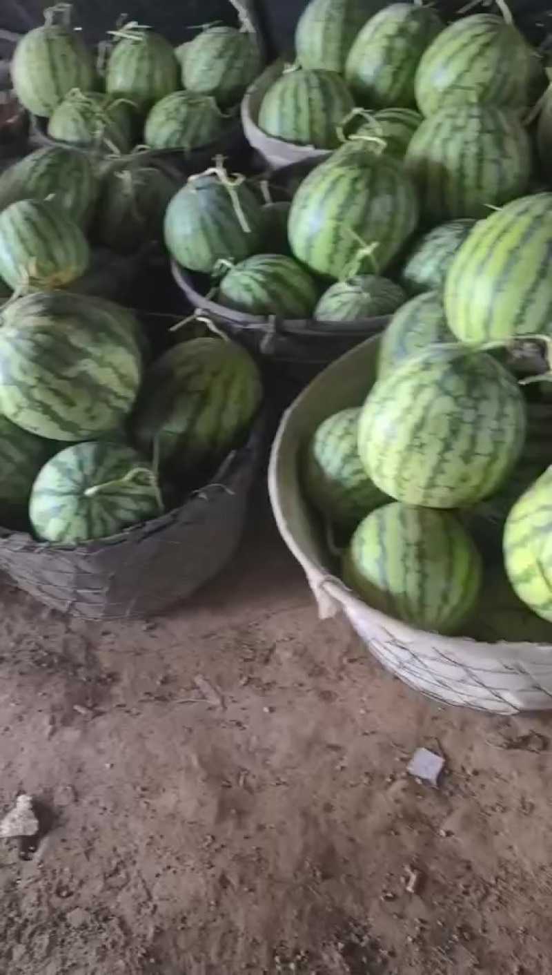 二茬有籽麒麟瓜，大量有货，价格便宜，需要的客户联系我