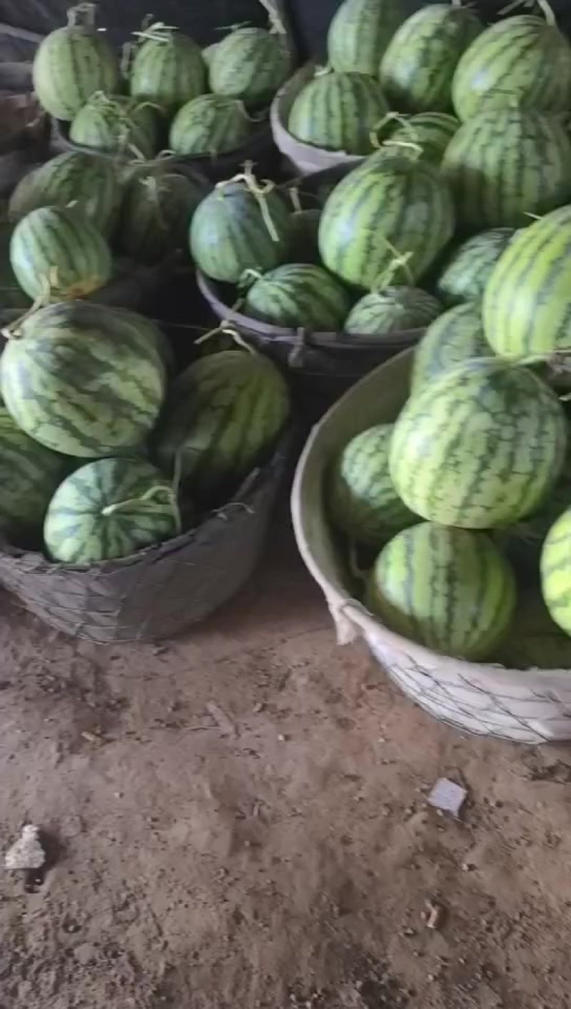 二茬有籽麒麟瓜，大量有货，价格便宜，需要的客户联系我