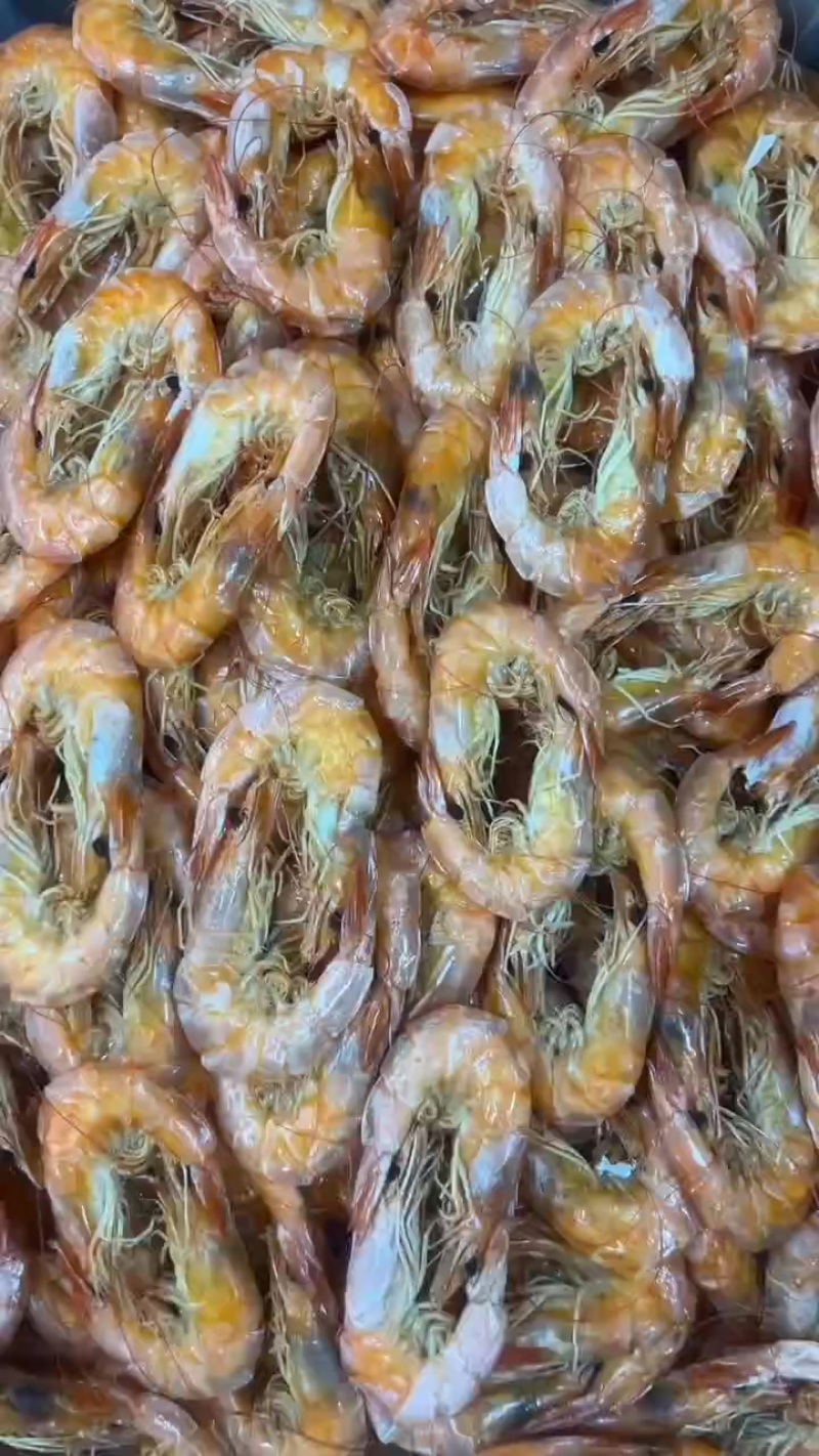 【烤虾串】烤虾好吃有嚼劲，有需要的老板联系