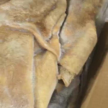 原装牛肚