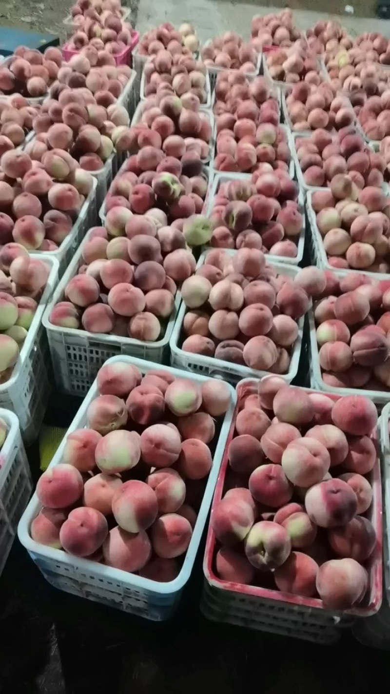 水蜜桃