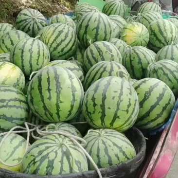 牛奶西瓜