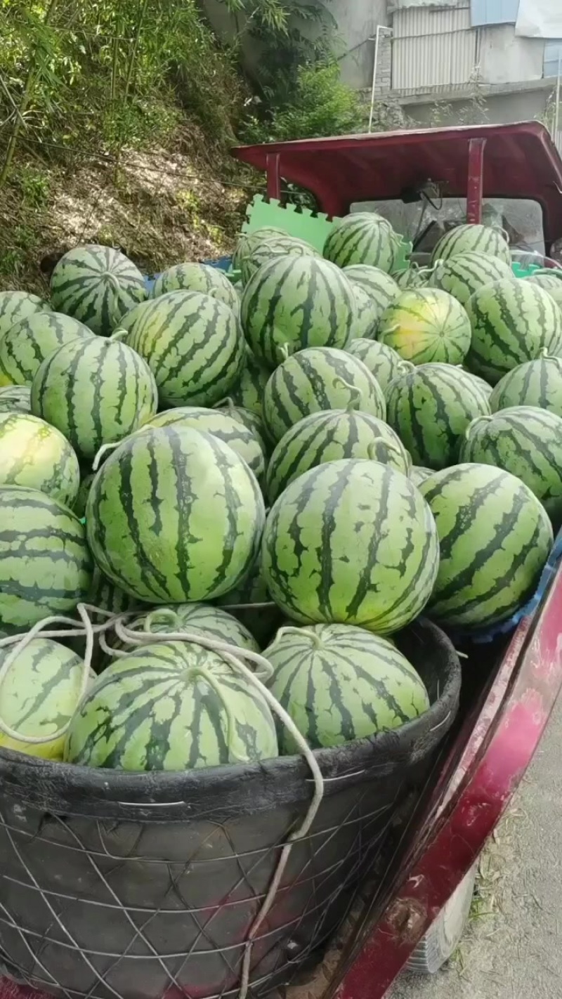 牛奶西瓜
