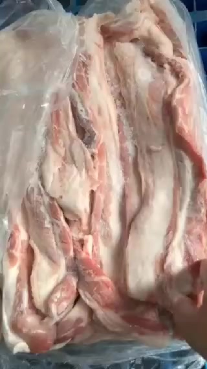 猪副