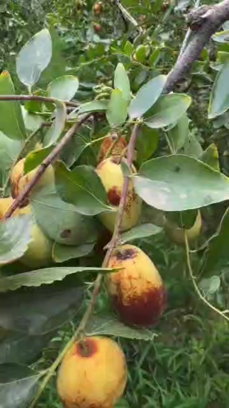 电商欢迎客户团购