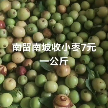 酸枣