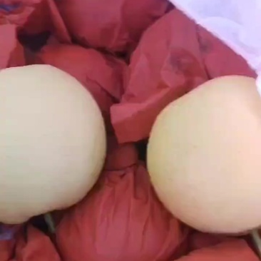 皇冠梨