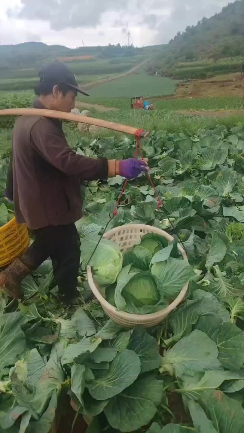 奥奇娜