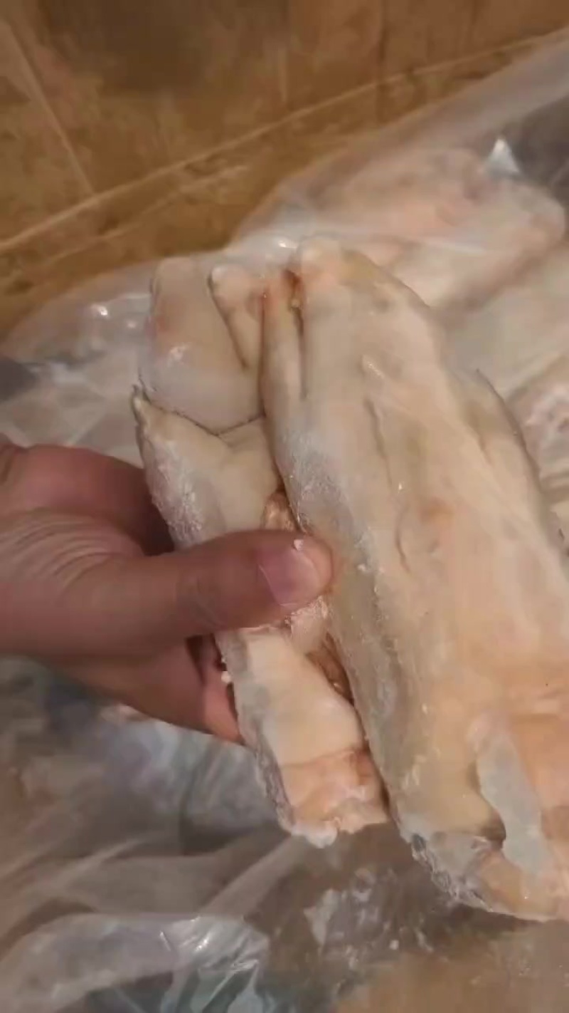 临期猪蹄，不臭不绿不烂