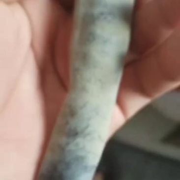 野生大皂角