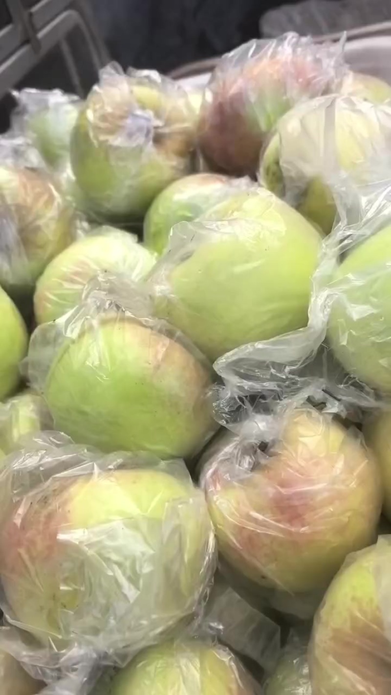 山东美八苹果，优质货源大量供应，