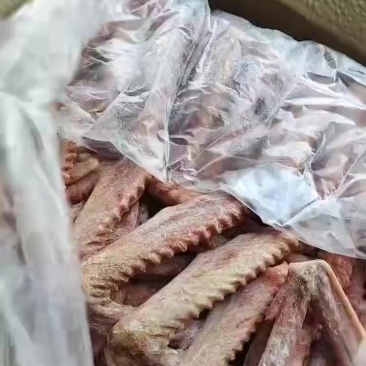 鹅翅