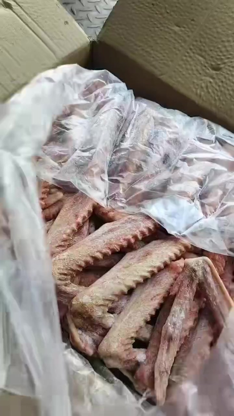 鹅翅