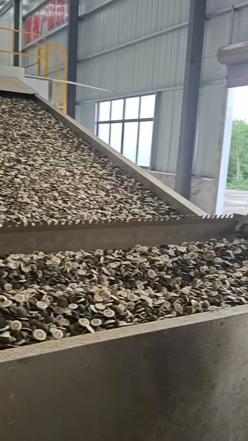 枳壳
