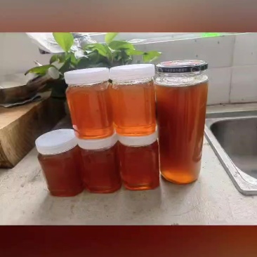凉山土蜂蜜