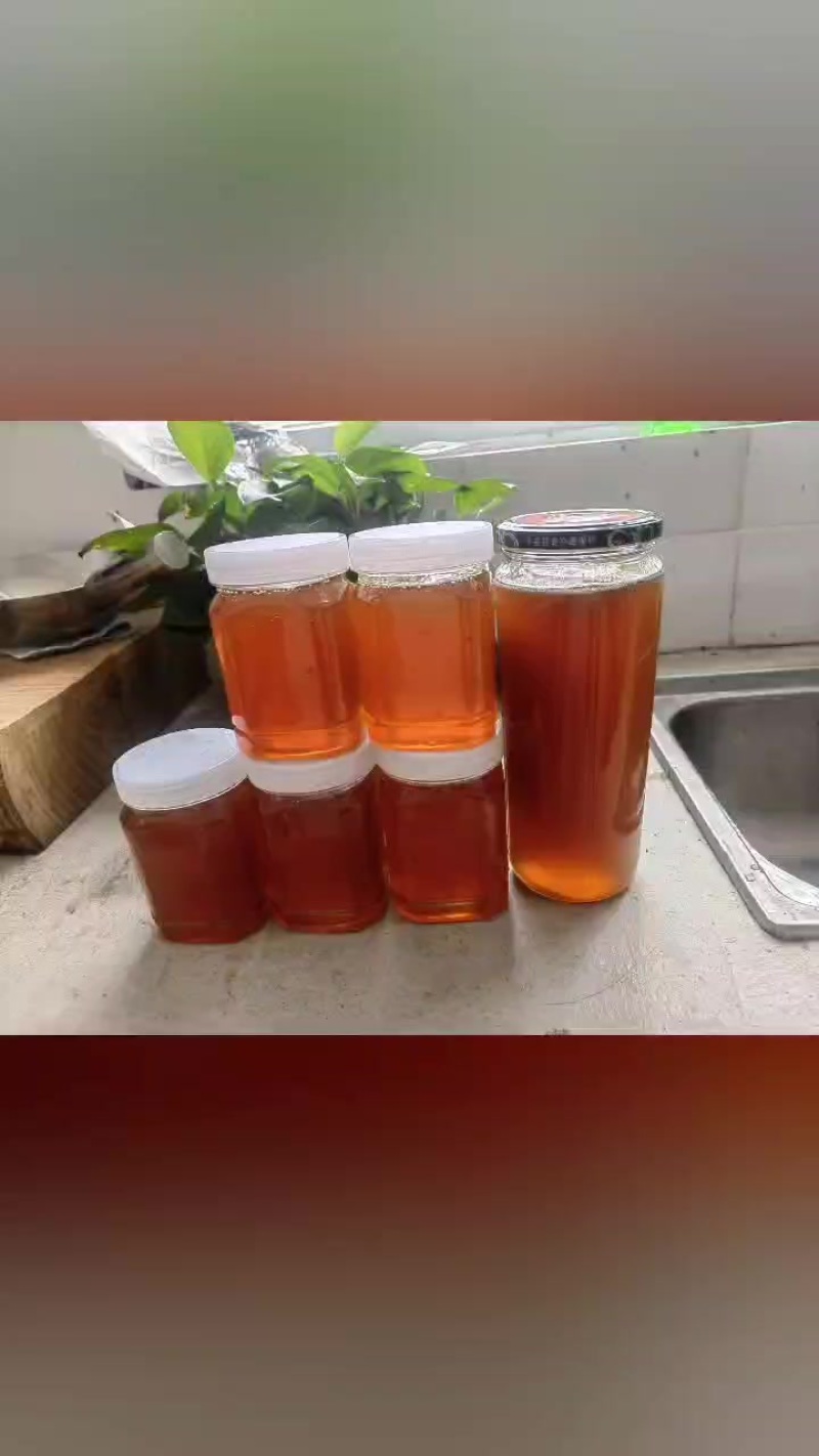 凉山土蜂蜜
