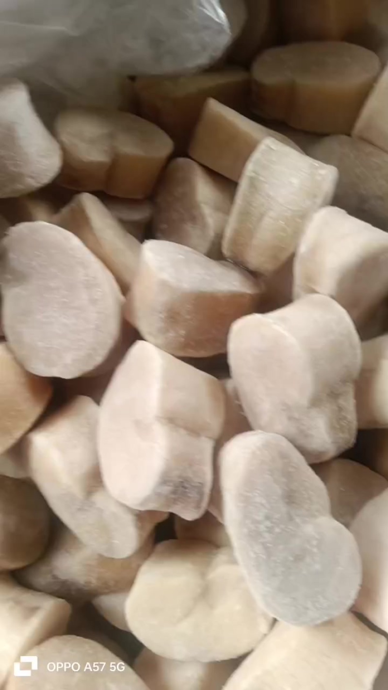 江瑶贝