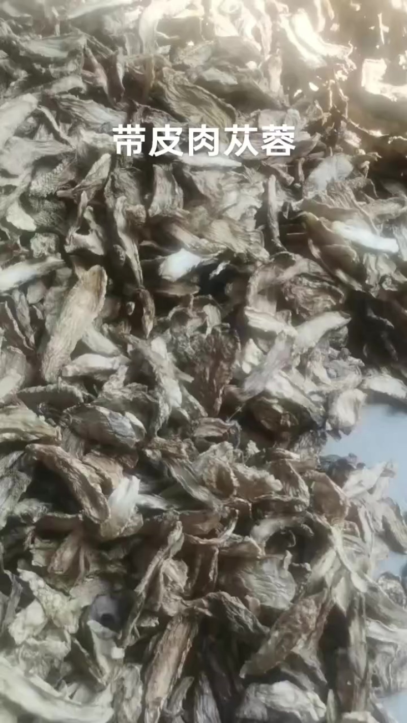 肉苁蓉