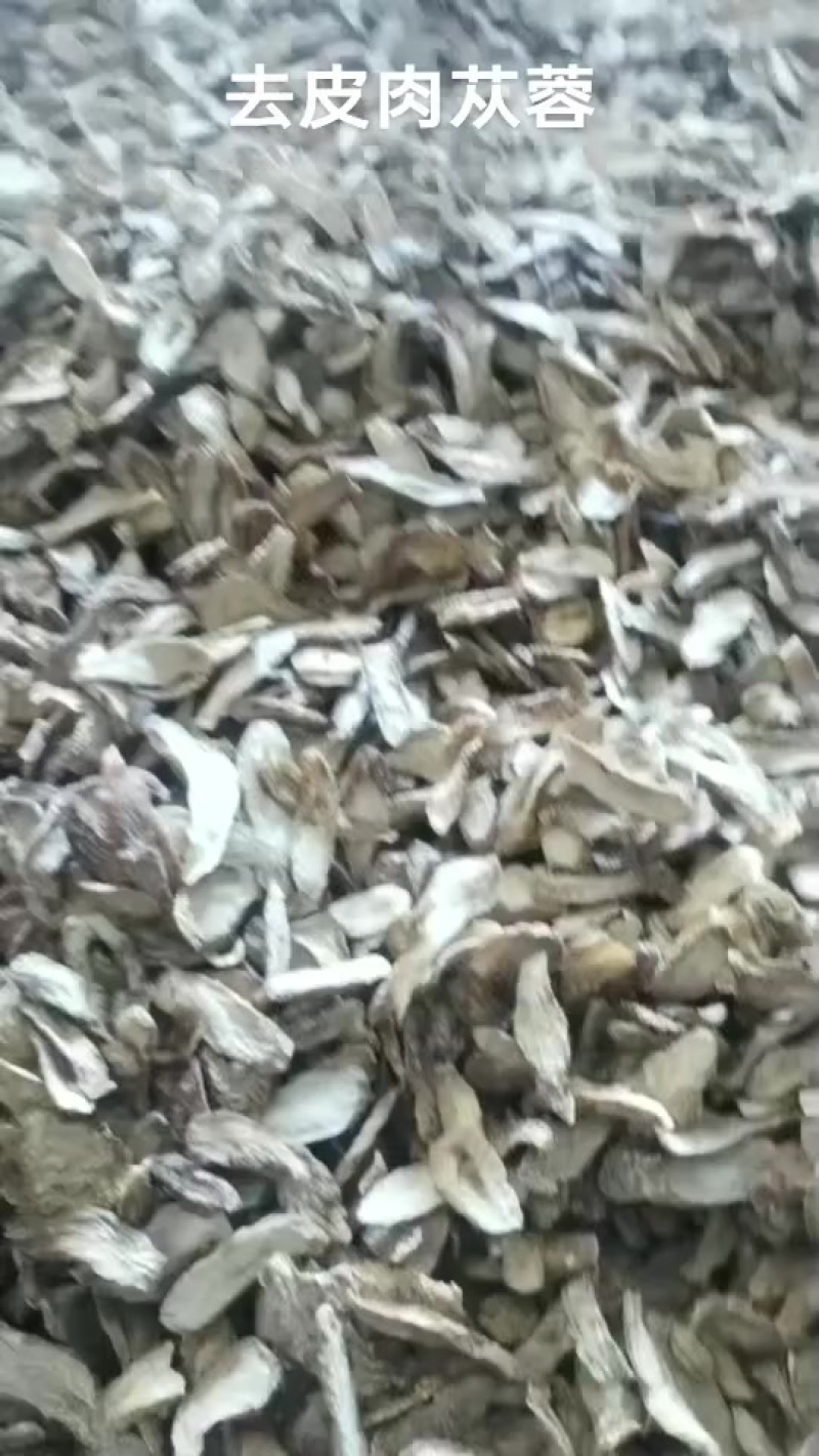 肉苁蓉