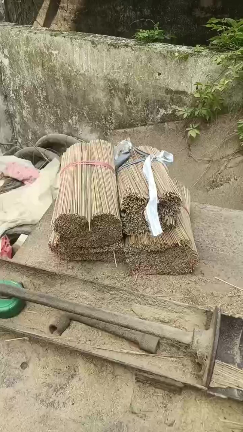 西瓜签。香瓜签。固定签