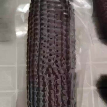 鲜食黑糯玉米