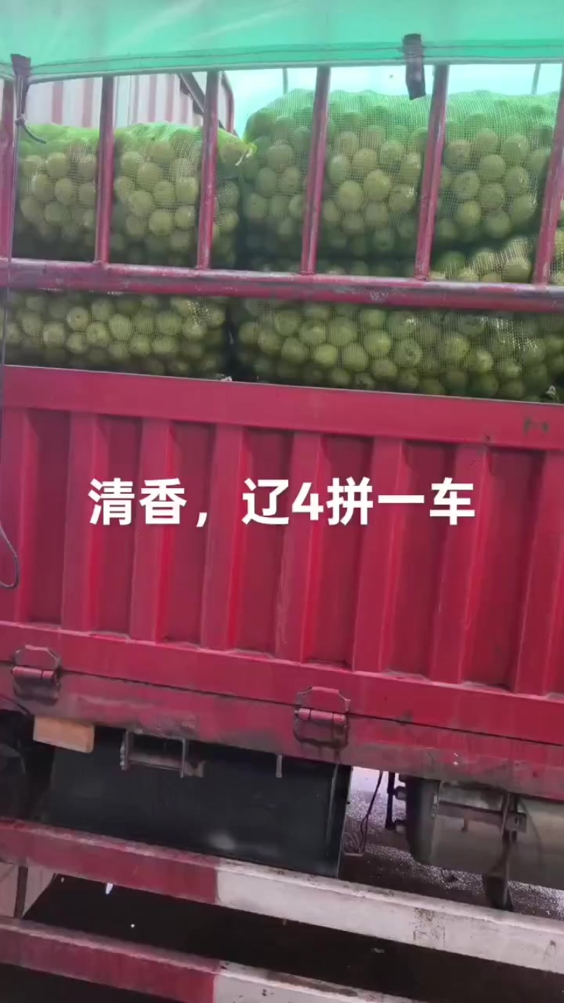 清香辽核