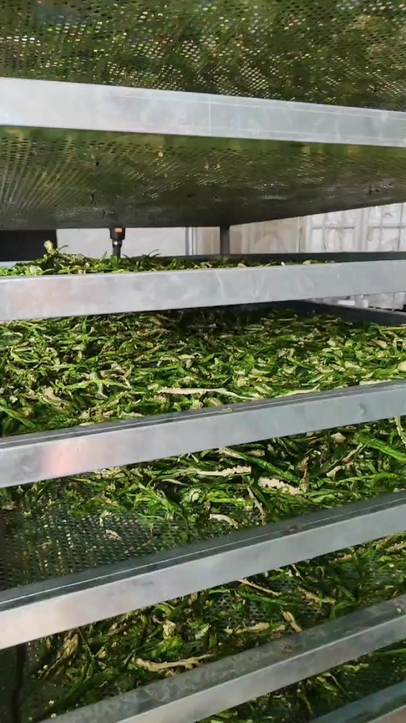 干辣椒条