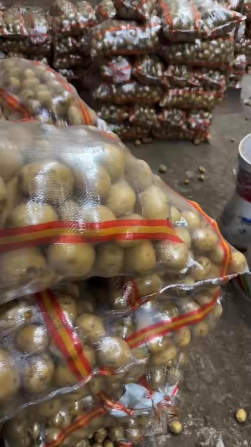 土豆二豆二两至三两半